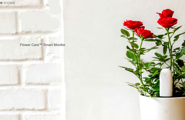 小米科技生態(tài)鏈企業(yè)軟件本地化